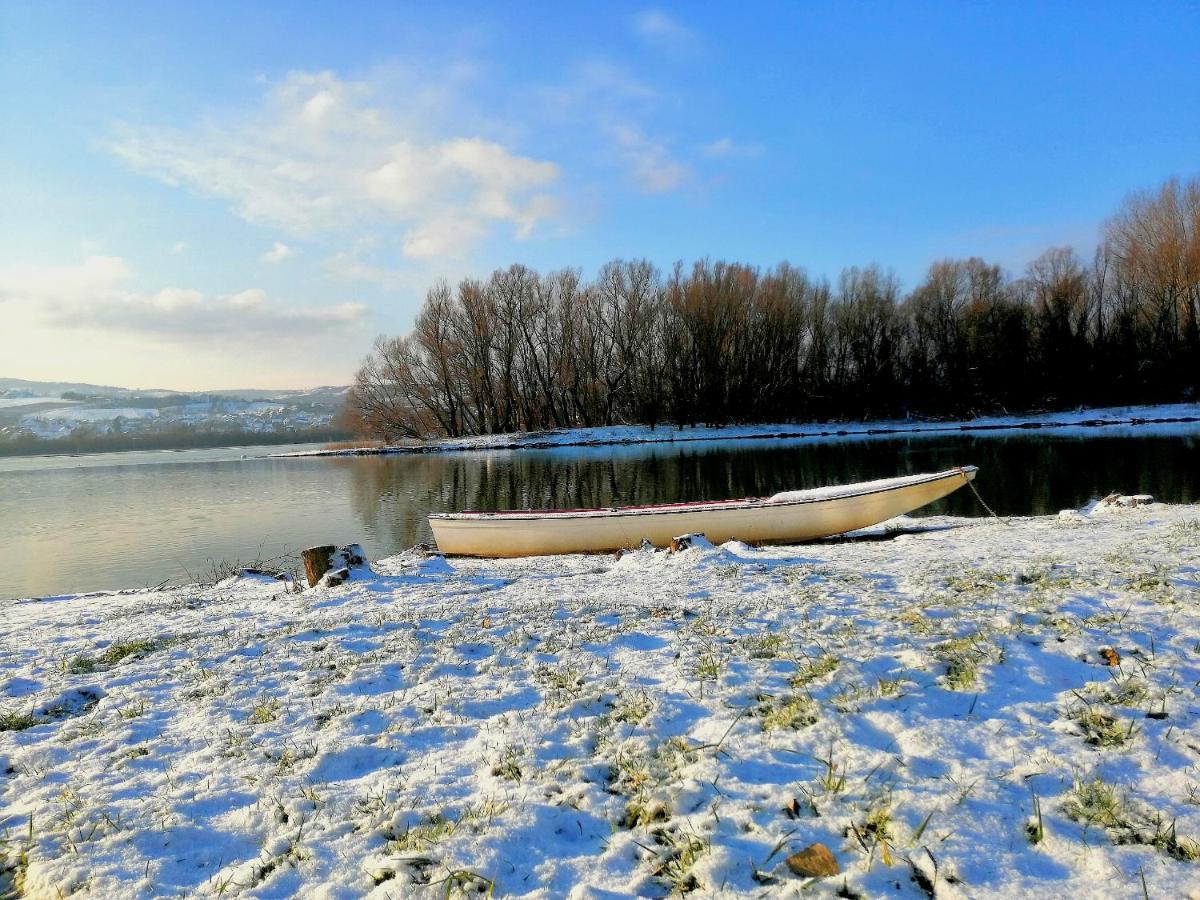 Villa Danube Fairy à Futog Extérieur photo