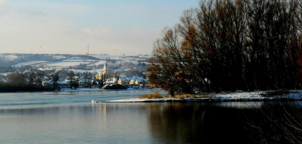 Villa Danube Fairy à Futog Extérieur photo