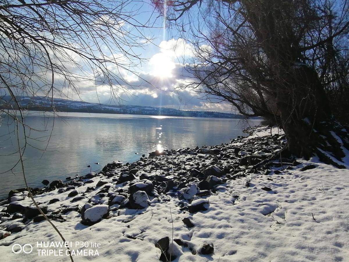 Villa Danube Fairy à Futog Extérieur photo