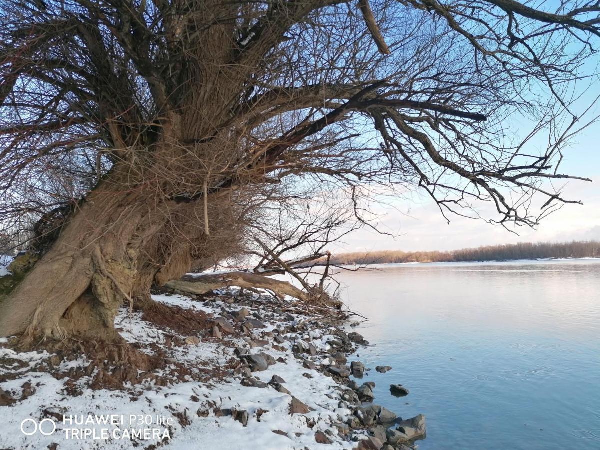 Villa Danube Fairy à Futog Extérieur photo