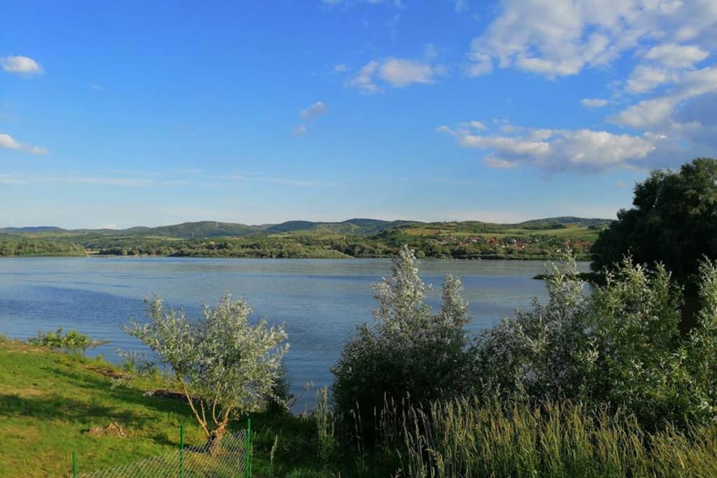 Villa Danube Fairy à Futog Extérieur photo