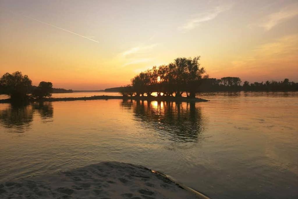 Villa Danube Fairy à Futog Extérieur photo
