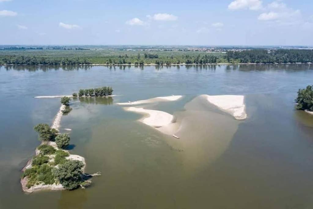 Villa Danube Fairy à Futog Extérieur photo