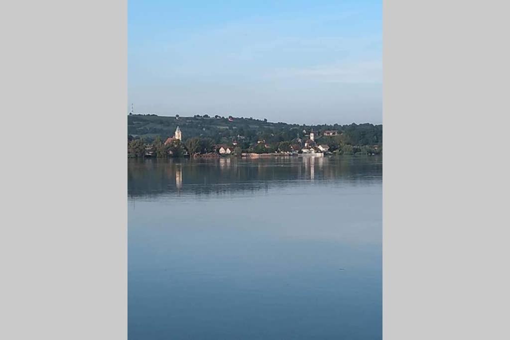 Villa Danube Fairy à Futog Extérieur photo