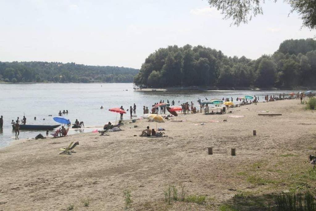 Villa Danube Fairy à Futog Extérieur photo